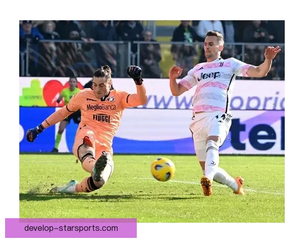 意甲劲旅弗罗西诺内俱乐部的崛起历程与未来展望战术革新与青训体系解析